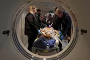 Big Cat Sanctuary in Kent Conducts Groundbreaking Health Scans on Majestic Residents
