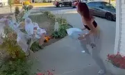 Bold Halifax Porch Pirate Caught on Camera Stealing Package in Broad Daylight