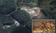 Bomb Factory Explosion Horror: Multiple Casualties Feared in Suspected Illegal Workshop Blast