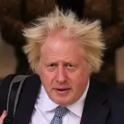 Boris Johnson's Hair Transformation: From Blond Mop to Silver Fox - The Real Cost Revealed