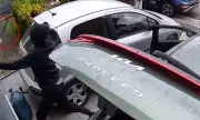 Brave homeowner fights off masked car thieves with baseball bat in dramatic doorstep confrontation