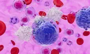 Breakthrough Discovery: Scientists Identify ALS as Autoimmune Disease in Groundbreaking Research