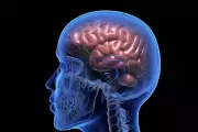 Breakthrough Discovery: Scientists Uncover Hidden Driver of Parkinson's Disease Progression