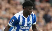 Brighton's Bold Move: Fabian Hurzeler Emerges as Shock Contender for Manchester United Role
