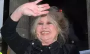 Brigitte Bardot, 91, Hospitalised in Saint-Tropez: Screen Legend Undergoes Surgery