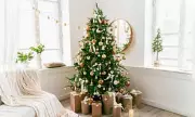 Britain's Christmas Tree Crisis: Scorching Summer Sparks Festive Fears as Growers Warn of Shortages and Soaring Prices