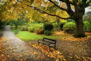 Britain's Historic Parks Face Unprecedented Threat from Planning Reforms
