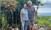British Couple Vanish Without Trace in Jamaica as Hurricane Melissa Approaches