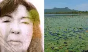 British Safari Tourist Vanishes Near Crocodile-Infested Waters in South Africa - Desperate Search Underway