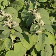 Brits Warned Over 'Nightmare' 500% Energy Bill Surge From Common Household Appliance