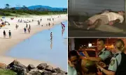Byron Bay Backlash: Locals Revolt Against 'Draconian' Alcohol Restrictions in Paradise