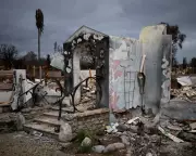 California Wildfire Suspect Arrested: Man Charged with Sparking Devastating Palisades Blaze