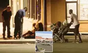 California's Bold New Strategy: Business Owners Take Charge of Homeless Crisis