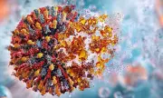 Cancer Breakthrough: Revolutionary 'Super-Vaccine' Shows Promise in Halting Disease Progression