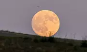 Celestial Spectacle: The Harvest Supermoon Illuminates UK Skies Tonight - Don't Miss This Breathtaking Display!