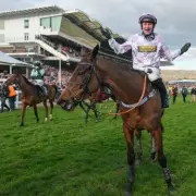 Champion Hurdle Ace Constitution Hill Forced to Miss Wetherby Showdown in Shock Training Setback