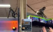 Chaos in Texas Halloween Store as Rogue Monkey Swings From Rafters in Bizarre Incident