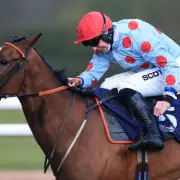 Cheltenham Festival Rocked as Horse Named 'Sound of Russia' Tragically Dies