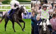 Cheltenham Festival's Mares' Hurdle Faces Quality Crisis as Top Contenders Sidestep Challenge