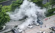 Chikungunya Outbreak Alert: How COVID Restrictions Unleashed New Viral Threat in China and US