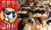 Children's Books Pulled From Shelves After QR Codes Hijacked With Explicit Content