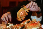 China's Heatwave Crisis: Beloved Hairy Crab Delicacy Faces Unprecedented Threat
