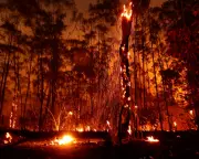 Climate Crisis Deepens: Global Pledges Fall Dangerously Short of 1.5°C Target, New Analysis Reveals