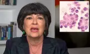 CNN Star Christiane Amanpour Reveals Ovarian Cancer Has Returned in Emotional Health Update