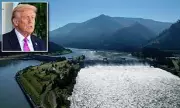 Columbia River Salmon Face Extinction Crisis: Oregon's Iconic Fish Population Plummets to Critical Levels
