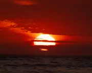 Conservative MPs Challenge Net Zero Targets in Explosive Climate Science Debate