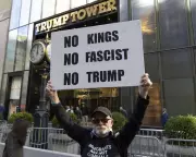 Could a Written Constitution Protect Britain from Far-Right Influence? Experts Weigh In