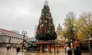 Council's Festive Fury: Christmas Tree Arrives Amid Bin Strike Chaos