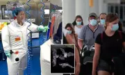 COVID-19 Origin Breakthrough: Scientists Trace Pandemic to Bats and Pigs in Chinese Cave