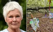 Dame Judi Dench Blasts 'Environmental Vandalism' as 500 Ancient Trees Face Axe in Westminster Council Plan