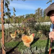 David Beckham's Dramatic Cotswolds Transformation: Football Icon Embraces Country Life