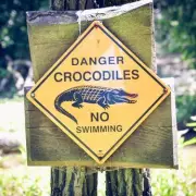 Desperate Search for Missing British Grandfather, 71, Continues as Family Fears Grow