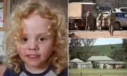 Desperate Search for Missing Outback Traveller Gus Lamont Enters Critical Phase