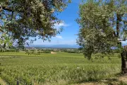 Discover Lugana: Lake Garda's Hidden Wine Paradise Awaits British Travellers