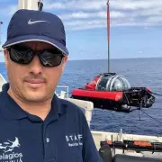 Divers' Terrifying 9ft Shark Encounter in UK Waters: 'It Was Bumping Into Us'