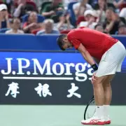 Djokovic's Dramatic Wimbledon Scare: Illness Forces Medical Timeout During Gruelling Match