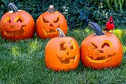 Don't Bin It, Cook It! The Shocking UK Pumpkin Waste Problem and Delicious Solutions