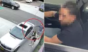 Dramatic Car Crash Through Popular Leichhardt Bakery Leaves Community in Shock