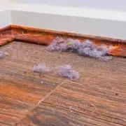 Dust-Free Living: The Simple Skirting Board Trick That Will Transform Your Home Cleaning
