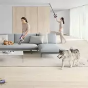 Dyson Slashes £150 Off Top Cordless Vacuum in Unmissable Spring Deal