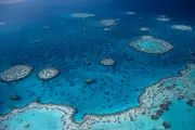 Earth Has Lost 20% of Rivers and Lakes Since 1999, WWF Report Reveals