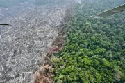 Earth's Climate Tipping Point: Coral Reefs Face Unprecedented Crisis