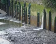 England's Water Crisis Deepens: Sewage Pollution Hits Record High as Ratings Plunge