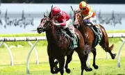 Ex-AFL Star Banned in Shocking Randwick Horse Incident - Racing World Stunned