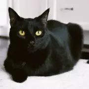 Expert Reveals: These Common Symptoms Could Signal Serious Vitamin Deficiency