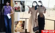 Explosive Photos Reveal Chinese Heiress LanLan Yang's Lavish UK Lifestyle and 'Important Person' Status
